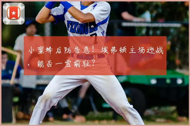 小蜜蜂后防告急！埃弗顿主场迎战，能否一雪前耻？