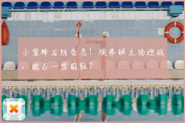 小蜜蜂后防告急！埃弗顿主场迎战，能否一雪前耻？